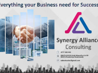 Synergy Alliance Consulting
