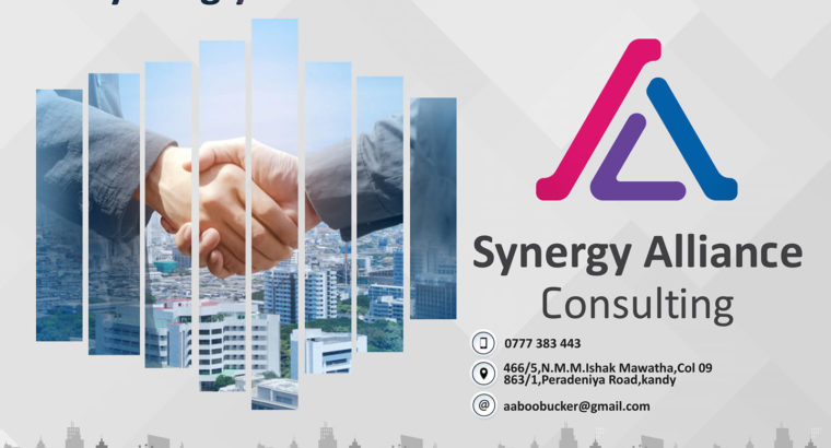 Synergy Alliance Consulting