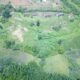 Land for Sale in Puhabugoda