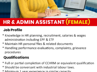 HR & Admin Assistant Vacancy
