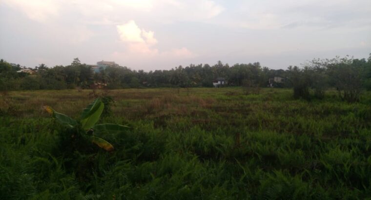 Land for Sale in Nagoda