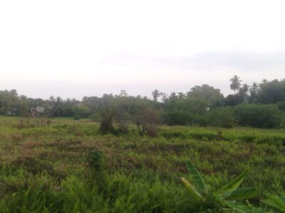 Land for Sale in Nagoda