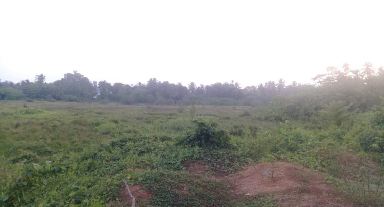 Land for Sale in Nagoda