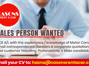 Sales Person Wanted