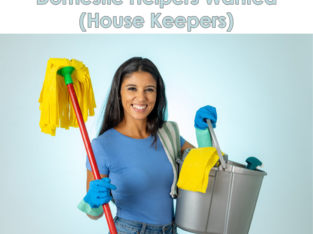 House maid and Domestic helper