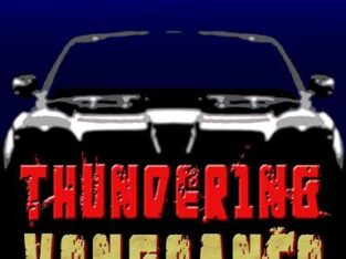 Thundering Vengeance novel by