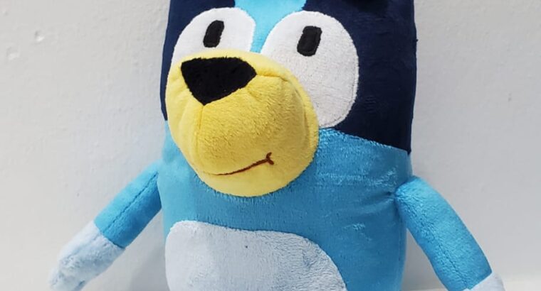 Handmade Character Bluey Bingo